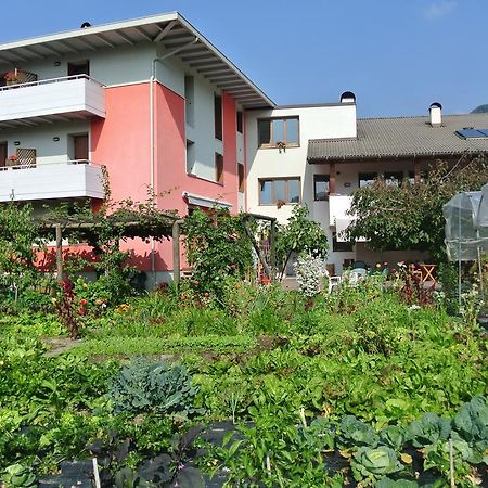 Agriturismo Bortolotti Перджине-Вальсугана Экстерьер фото
