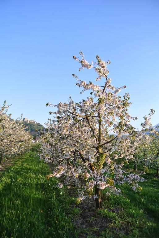 Agriturismo Bortolotti Перджине-Вальсугана Экстерьер фото